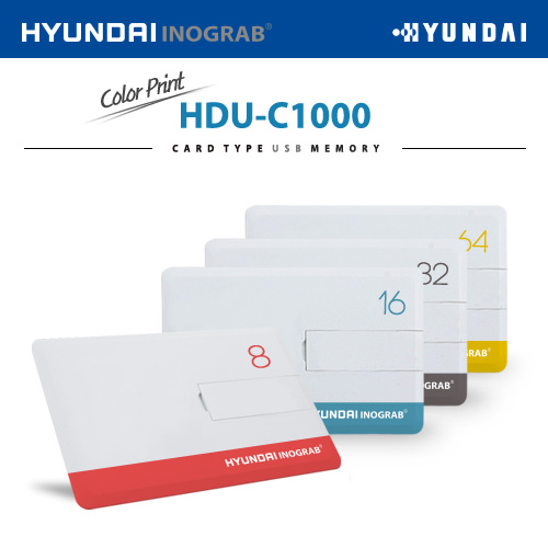 현대 HDU-C1000 카드형 USB